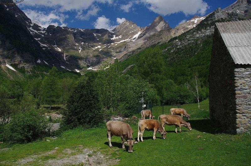 Bungalows Pena Montanesa Aínsa Dış mekan fotoğraf